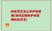 树舌灵芝怎么养护和管理(如何正确养护和管理树舌灵芝)