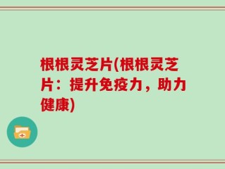 根根灵芝片(根根灵芝片：提升免疫力，助力健康)