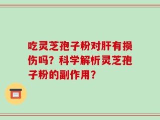 吃灵芝孢子粉对肝有损伤吗？科学解析灵芝孢子粉的副作用？