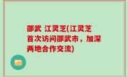 邵武 江灵芝(江灵芝首次访问邵武市，加深两地合作交流)