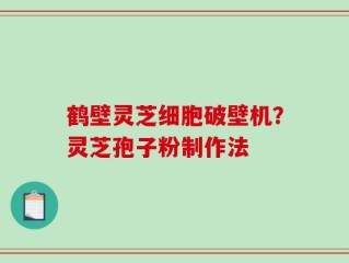鹤壁灵芝细胞破壁机？灵芝孢子粉制作法