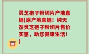 灵芝孢子粉切片产地直销(原产地直销！纯天然灵芝孢子粉切片售价实惠，助您健康生活！)