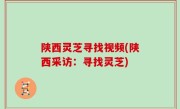 陕西灵芝寻找视频(陕西采访：寻找灵芝)