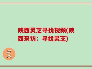 陕西灵芝寻找视频(陕西采访：寻找灵芝)
