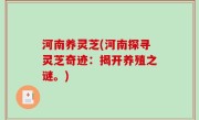 河南养灵芝(河南探寻灵芝奇迹：揭开养殖之谜。)