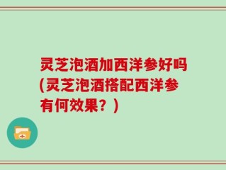 灵芝泡酒加西洋参好吗(灵芝泡酒搭配西洋参有何效果？)