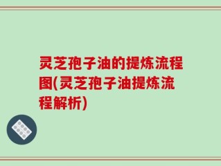 灵芝孢子油的提炼流程图(灵芝孢子油提炼流程解析)