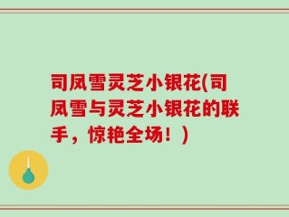 司凤雪灵芝小银花(司凤雪与灵芝小银花的联手，惊艳全场！)