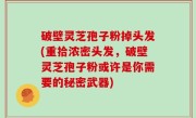 破壁灵芝孢子粉掉头发(重拾浓密头发，破壁灵芝孢子粉或许是你需要的秘密武器)