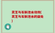 灵芝与石斛泡水功效(灵芝与石斛泡水的益处)