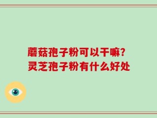 蘑菇孢子粉可以干嘛？灵芝孢子粉有什么好处