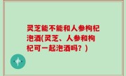 灵芝能不能和人参枸杞泡酒(灵芝、人参和枸杞可一起泡酒吗？)