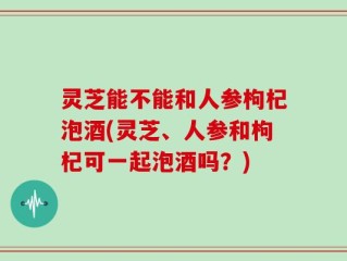 灵芝能不能和人参枸杞泡酒(灵芝、人参和枸杞可一起泡酒吗？)