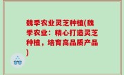 魏季农业灵芝种植(魏季农业：精心打造灵芝种植，培育高品质产品)