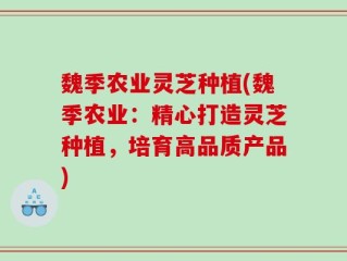 魏季农业灵芝种植(魏季农业：精心打造灵芝种植，培育高品质产品)