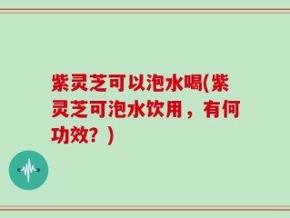 紫灵芝可以泡水喝(紫灵芝可泡水饮用，有何功效？)