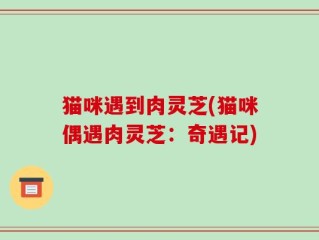 猫咪遇到肉灵芝(猫咪偶遇肉灵芝：奇遇记)