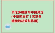 灵芝多糖肽与中国灵芝(中草药主打｜灵芝多糖肽的功效与作用)