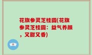 花旗参灵芝桂圆(花旗参灵芝桂圆：益气养颜，又甜又香)