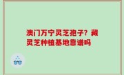 澳门万宁灵芝孢子？藏灵芝种植基地靠谱吗