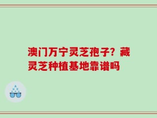 澳门万宁灵芝孢子？藏灵芝种植基地靠谱吗