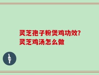 灵芝孢子粉煲鸡功效？灵芝鸡汤怎么做