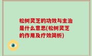 松树灵芝的功效与主治是什么意思(松树灵芝的作用及疗效简析)