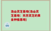 浩山灵芝基地(浩山灵芝基地：天然灵芝的黄金种植基地)
