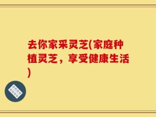 去你家采灵芝(家庭种植灵芝，享受健康生活)