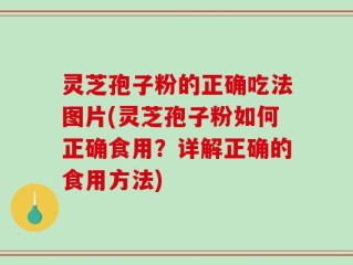 灵芝孢子粉的正确吃法图片(灵芝孢子粉如何正确食用？详解正确的食用方法)