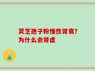灵芝孢子粉慢性肾衰？为什么会肾虚