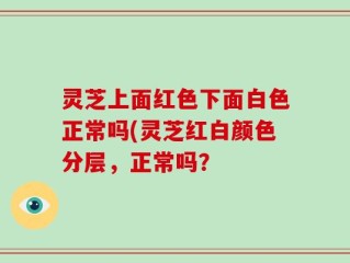 灵芝上面红色下面白色正常吗(灵芝红白颜色分层，正常吗？