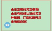 山东正规的灵芝基地(山东有权威认证的灵芝种植园，打造优质天然市场供应链)
