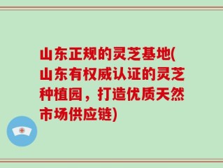 山东正规的灵芝基地(山东有权威认证的灵芝种植园，打造优质天然市场供应链)