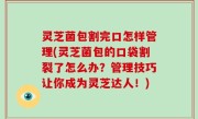 灵芝菌包割完口怎样管理(灵芝菌包的口袋割裂了怎么办？管理技巧让你成为灵芝达人！)