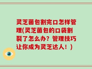 灵芝菌包割完口怎样管理(灵芝菌包的口袋割裂了怎么办？管理技巧让你成为灵芝达人！)