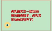 虎乳菌灵芝一起功放(强效菌类联手，虎乳灵芝功放双管齐下)
