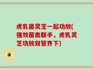 虎乳菌灵芝一起功放(强效菌类联手，虎乳灵芝功放双管齐下)