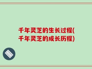 千年灵芝的生长过程(千年灵芝的成长历程)