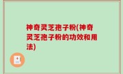 神奇灵芝孢子粉(神奇灵芝孢子粉的功效和用法)
