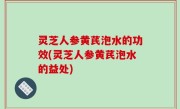 灵芝人参黄芪泡水的功效(灵芝人参黄芪泡水的益处)