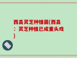 西昌灵芝种植菌(西昌：灵芝种植已成重头戏)