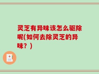 灵芝有异味该怎么驱除呢(如何去除灵芝的异味？)