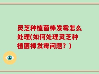 灵芝种植菌棒发霉怎么处理(如何处理灵芝种植菌棒发霉问题？)