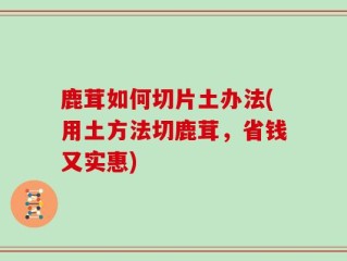 鹿茸如何切片土办法(用土方法切鹿茸，省钱又实惠)