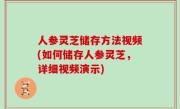 人参灵芝储存方法视频(如何储存人参灵芝，详细视频演示)