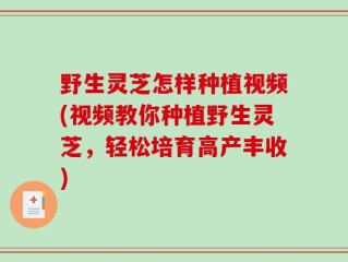野生灵芝怎样种植视频(视频教你种植野生灵芝，轻松培育高产丰收)