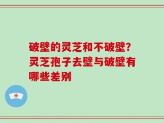 破壁的灵芝和不破壁？灵芝孢子去壁与破壁有哪些差别