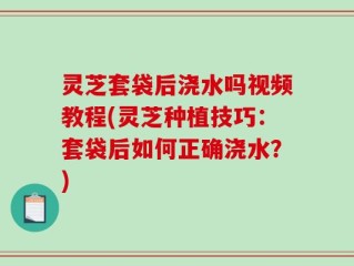 灵芝套袋后浇水吗视频教程(灵芝种植技巧：套袋后如何正确浇水？)