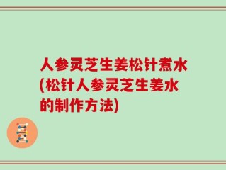 人参灵芝生姜松针煮水(松针人参灵芝生姜水的制作方法)